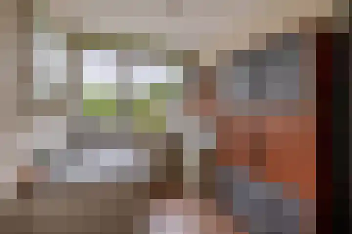 Balsemkruid 15 Rotterdam thumbnail 20