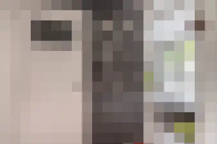 Balsemkruid 15 Rotterdam thumbnail 23