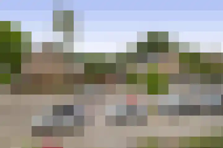 Balsemkruid 15 Rotterdam thumbnail 25