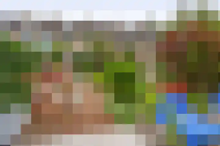 Balsemkruid 15 Rotterdam thumbnail 34