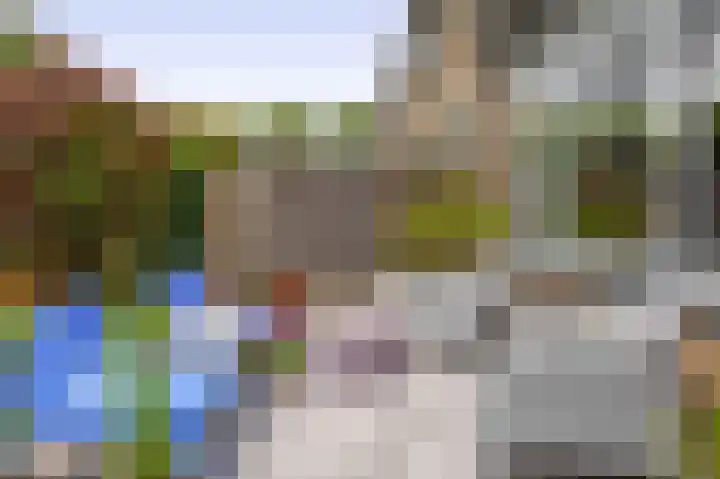 Balsemkruid 15 Rotterdam thumbnail 35