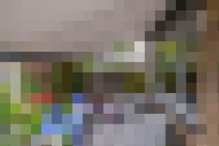 Balsemkruid 15 Rotterdam thumbnail 36