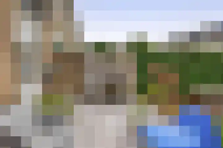Balsemkruid 15 Rotterdam thumbnail 37