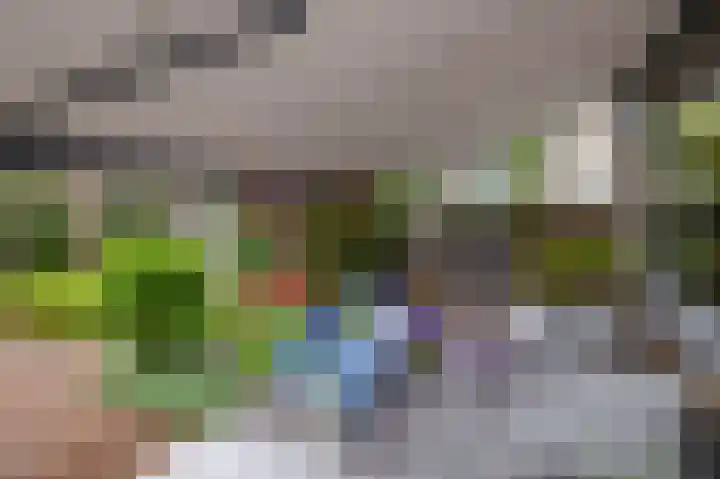 Balsemkruid 15 Rotterdam thumbnail 38