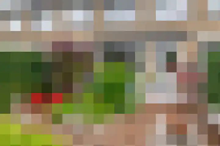 Balsemkruid 15 Rotterdam thumbnail 40