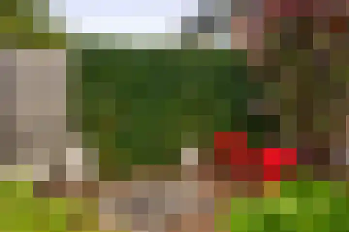 Balsemkruid 15 Rotterdam thumbnail 41