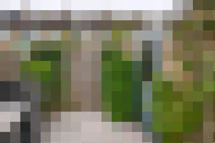 Balsemkruid 15 Rotterdam thumbnail 42