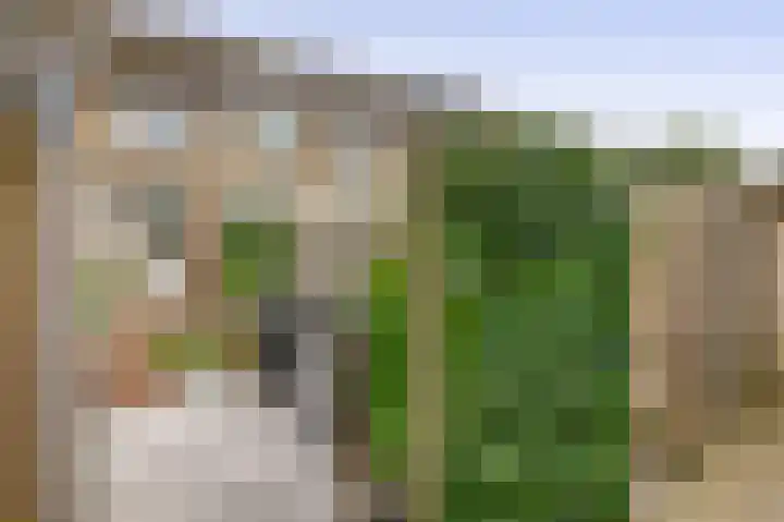 Balsemkruid 15 Rotterdam thumbnail 43