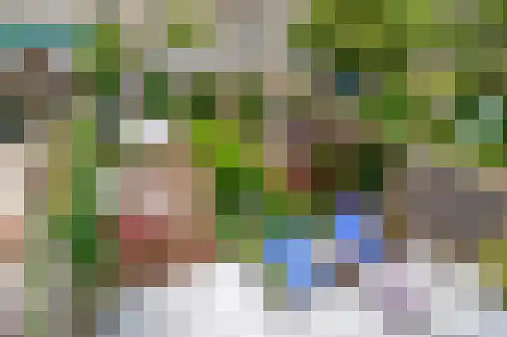 Balsemkruid 15 Rotterdam thumbnail 46