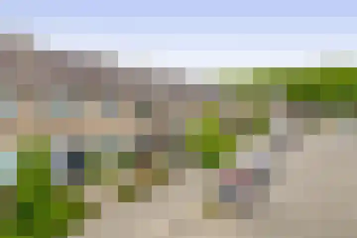 Balsemkruid 15 Rotterdam thumbnail 5