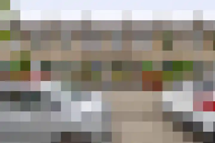 Balsemkruid 15 Rotterdam thumbnail 51