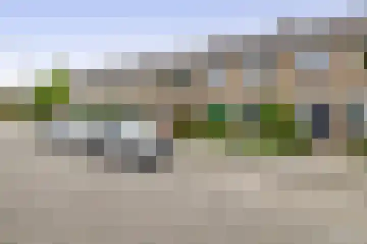 Balsemkruid 15 Rotterdam thumbnail 53