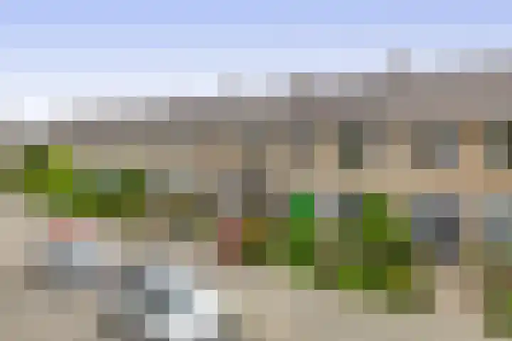 Balsemkruid 15 Rotterdam thumbnail 54