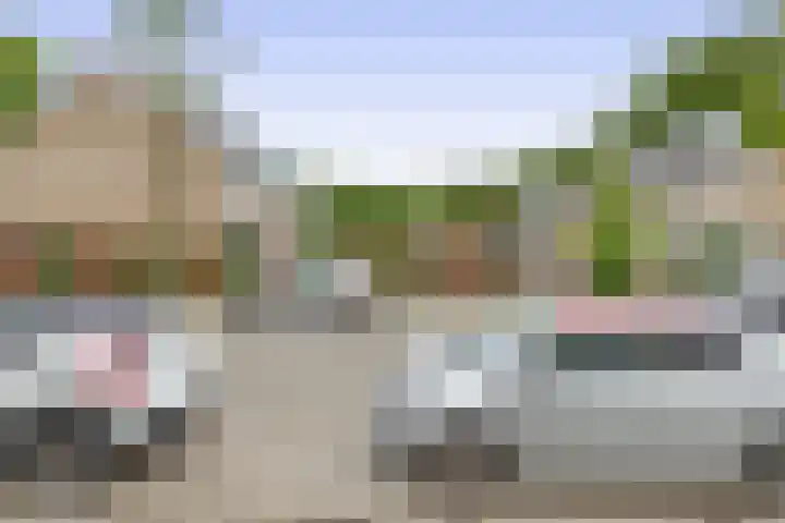 Balsemkruid 15 Rotterdam thumbnail 56
