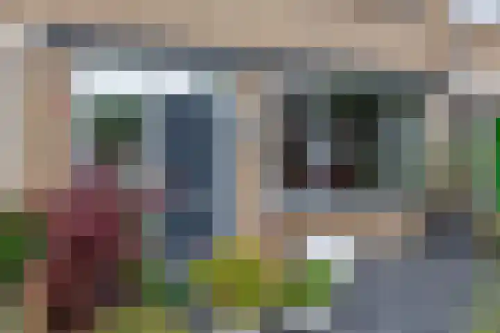 Balsemkruid 15 Rotterdam thumbnail 6