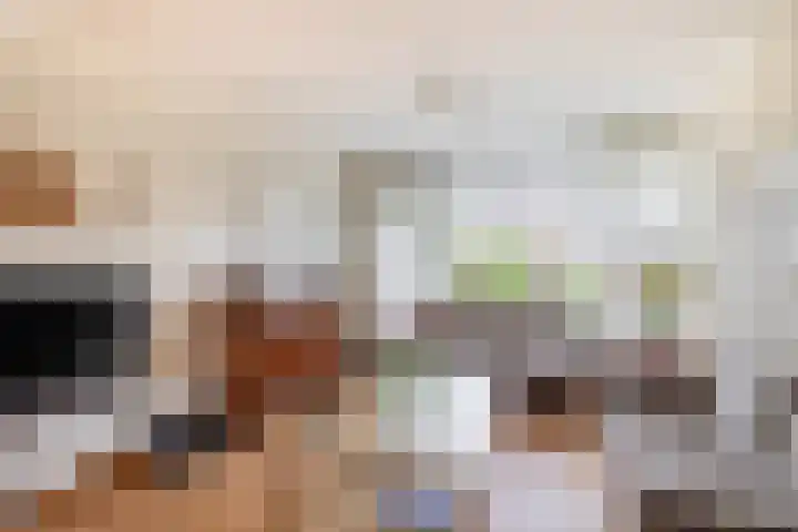 Balsemkruid 19 Rotterdam thumbnail 12