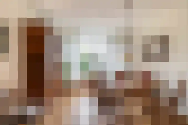Balsemkruid 19 Rotterdam thumbnail 13