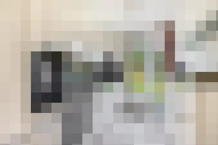 Balsemkruid 19 Rotterdam thumbnail 15