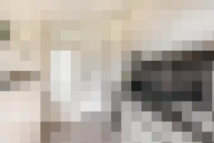 Balsemkruid 19 Rotterdam thumbnail 16