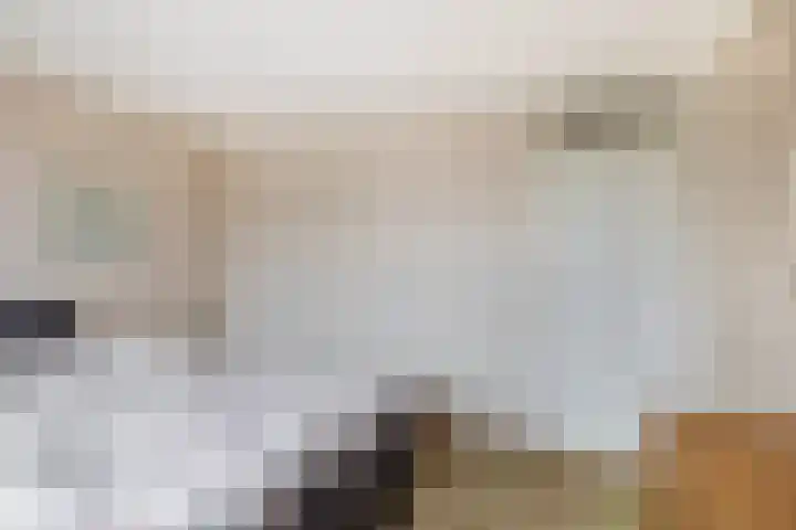 Balsemkruid 19 Rotterdam thumbnail 20