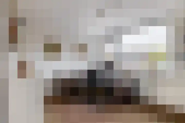 Balsemkruid 19 Rotterdam thumbnail 27