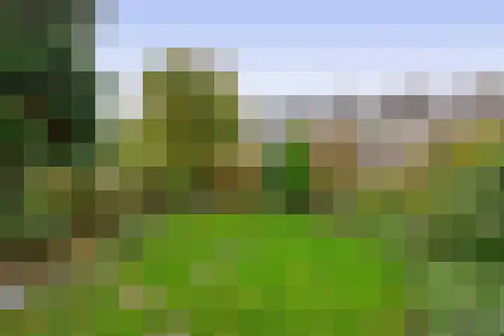 Balsemkruid 19 Rotterdam thumbnail 34