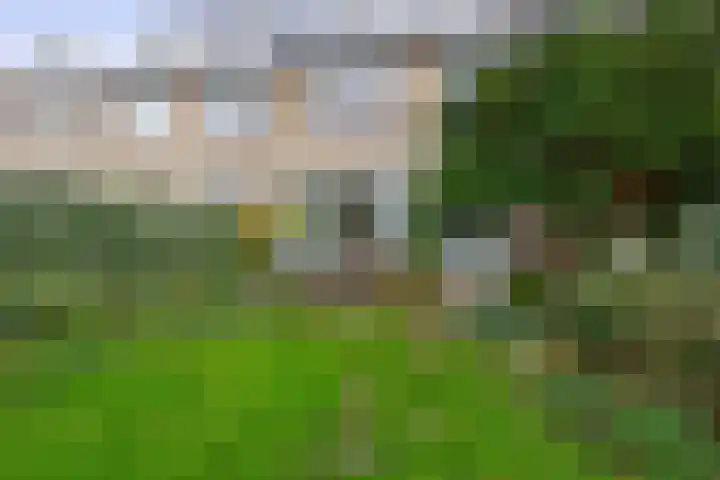 Balsemkruid 19 Rotterdam thumbnail 35