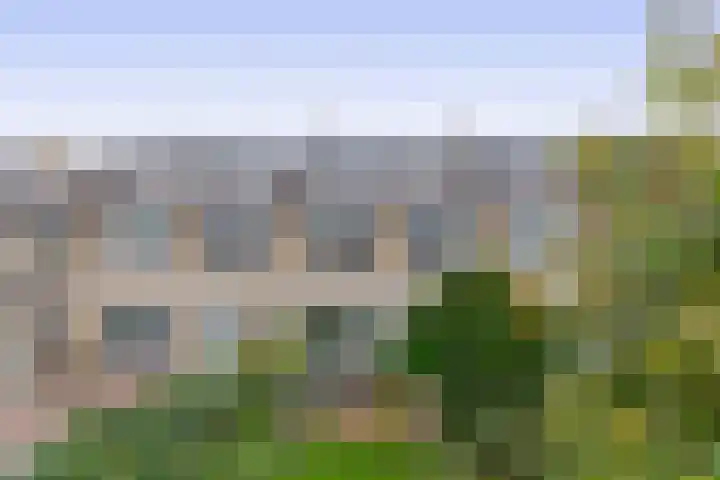 Balsemkruid 19 Rotterdam thumbnail 36