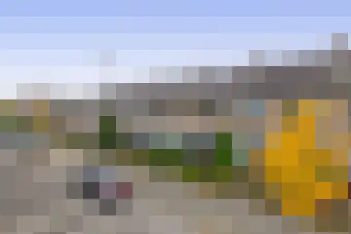 Balsemkruid 19 Rotterdam thumbnail 38