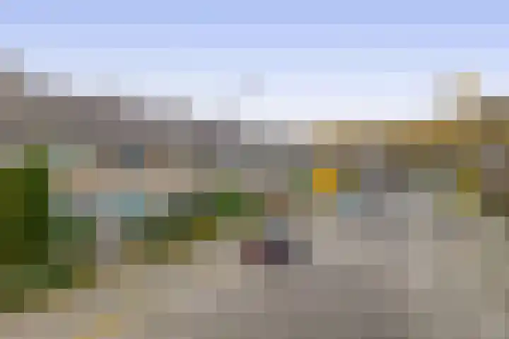 Balsemkruid 19 Rotterdam thumbnail 39
