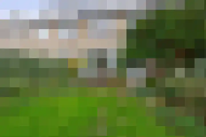 Balsemkruid 19 Rotterdam thumbnail 4