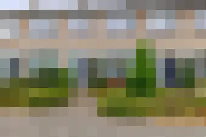 Balsemkruid 19 Rotterdam thumbnail 41