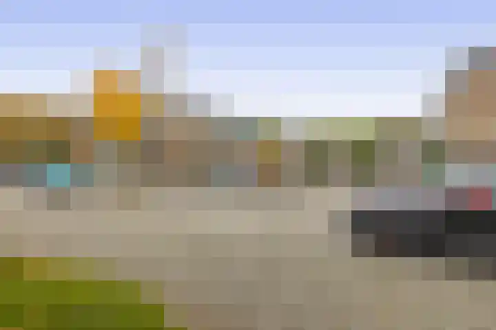 Balsemkruid 19 Rotterdam thumbnail 42
