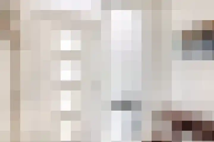 Balsemkruid 19 Rotterdam thumbnail 5
