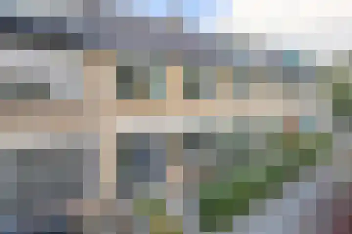 Balsemkruid 62 in Rotterdam