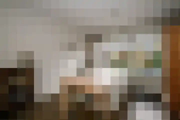 Balsemkruid 62 Rotterdam thumbnail 12
