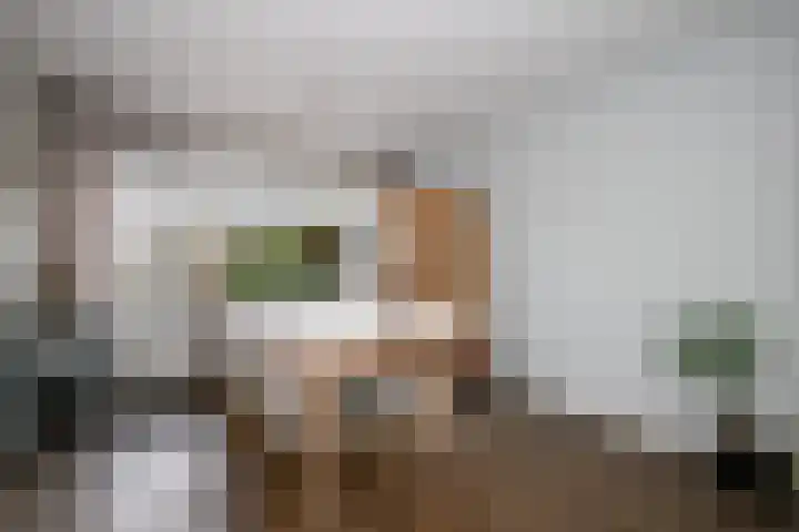 Balsemkruid 62 Rotterdam thumbnail 13