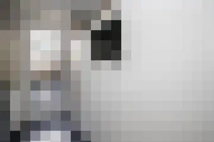 Balsemkruid 62 Rotterdam thumbnail 17