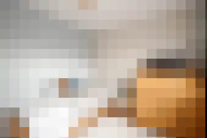 Balsemkruid 62 Rotterdam thumbnail 22