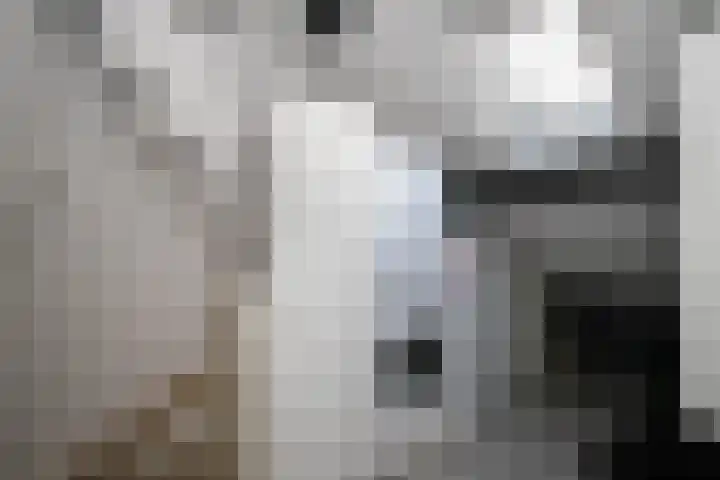 Balsemkruid 62 Rotterdam thumbnail 27
