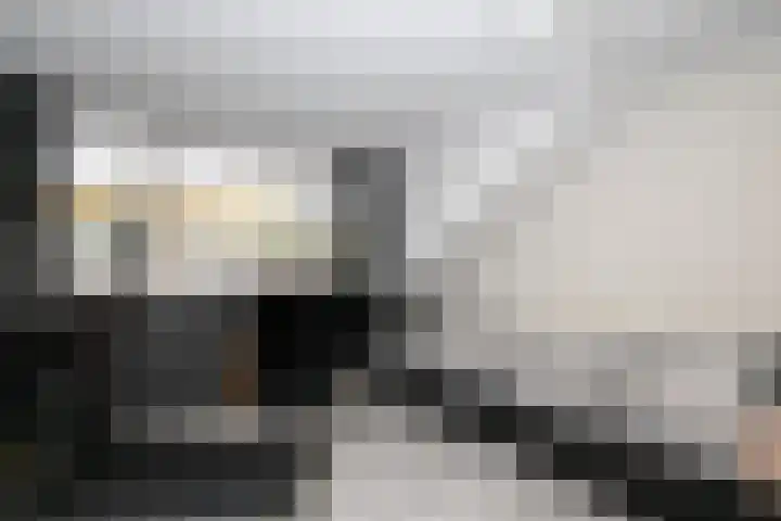 Balsemkruid 62 Rotterdam thumbnail 28