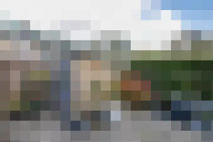 Balsemkruid 62 Rotterdam thumbnail 32