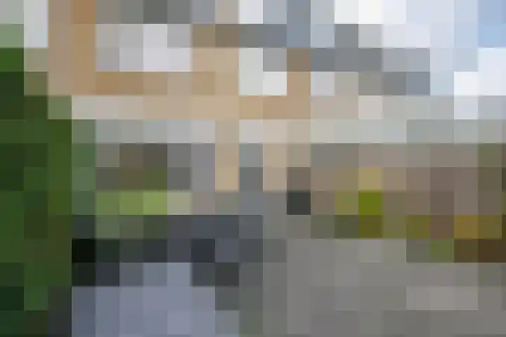 Balsemkruid 62 Rotterdam thumbnail 33