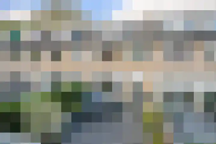 Balsemkruid 62 Rotterdam thumbnail 35