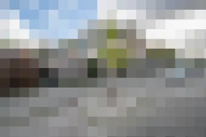 Balsemkruid 62 Rotterdam thumbnail 36