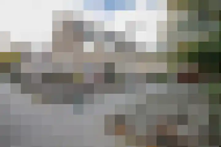 Balsemkruid 62 Rotterdam thumbnail 37