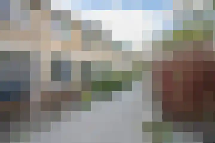 Balsemkruid 62 Rotterdam thumbnail 38