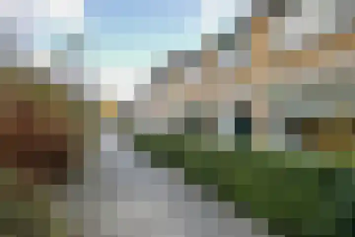 Balsemkruid 62 Rotterdam thumbnail 39
