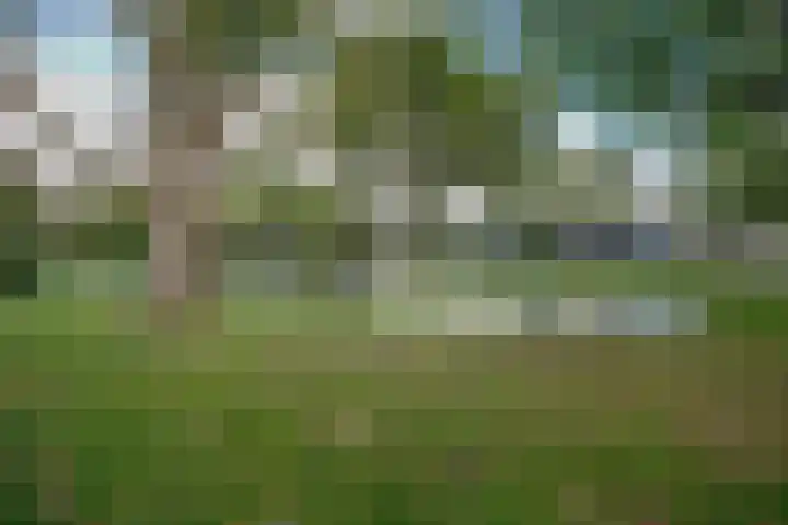 Balsemkruid 62 Rotterdam thumbnail 40