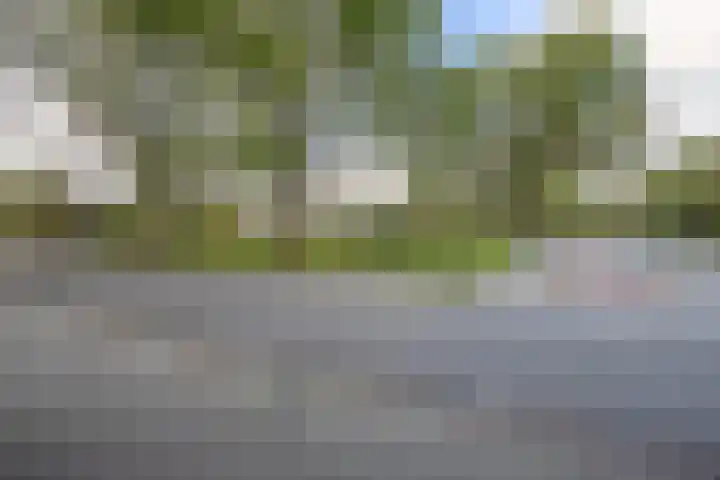 Balsemkruid 62 Rotterdam thumbnail 42